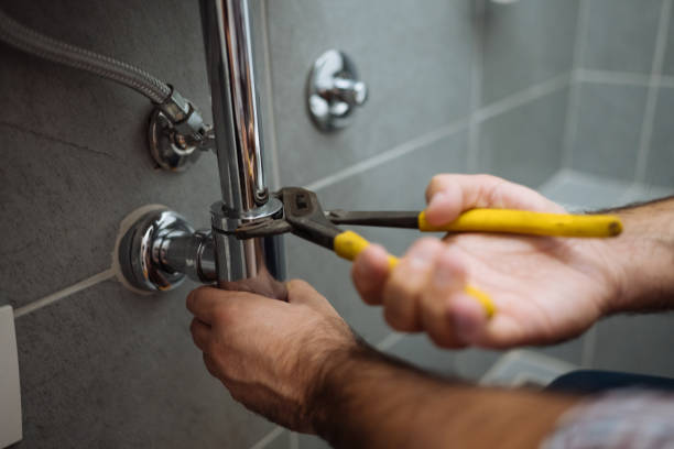 Best Local Plumber Services  in Winfield, AL